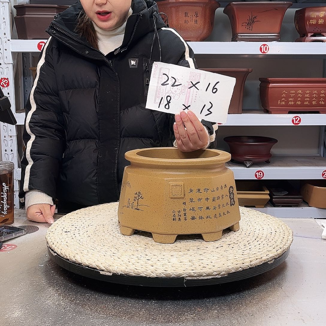 紫砂花盆紫砂花盆中