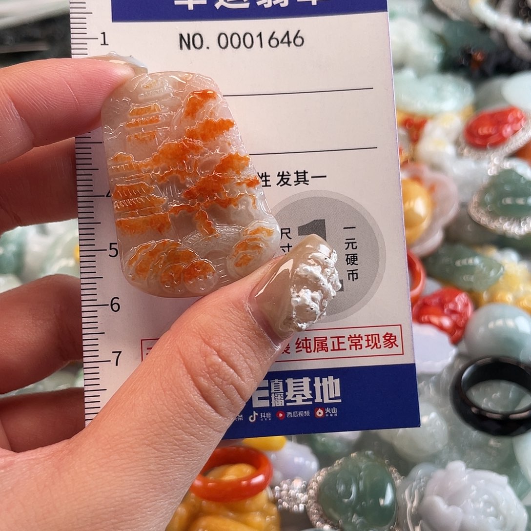 翡翠未镶嵌颈饰1646