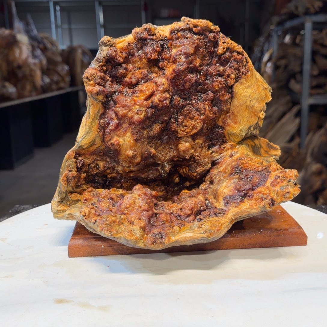 T***p木一刀琥珀木 天然摆件21