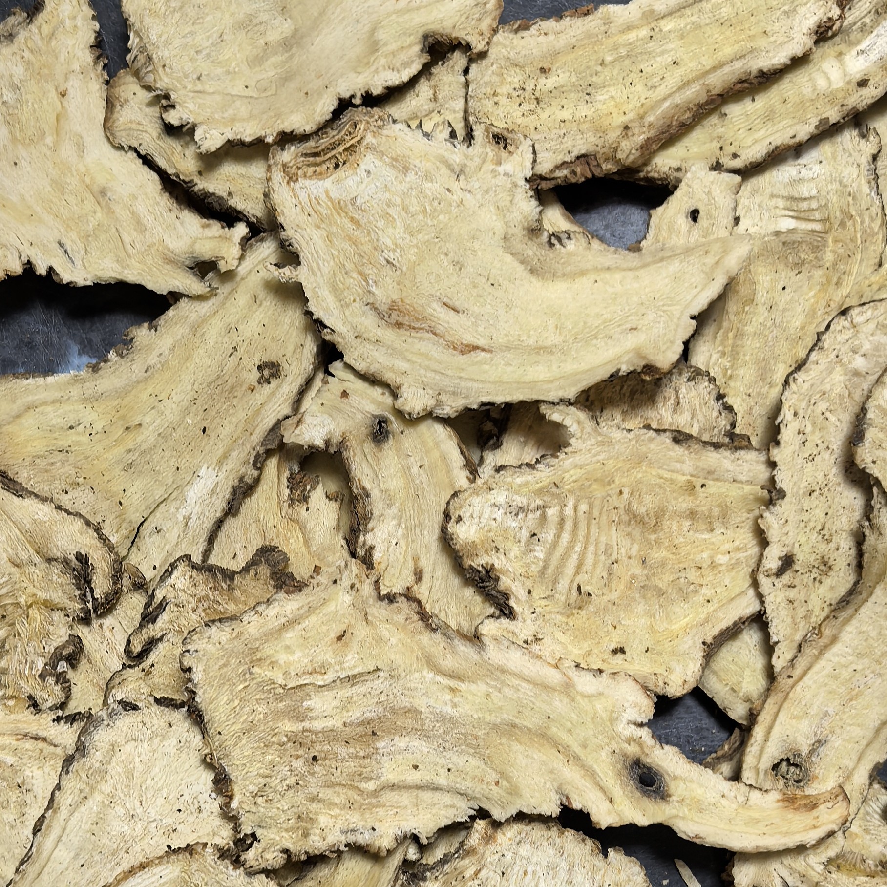 【产地直发】甘肃原产地当归头片无硫新货中心选片煲汤泡水干货