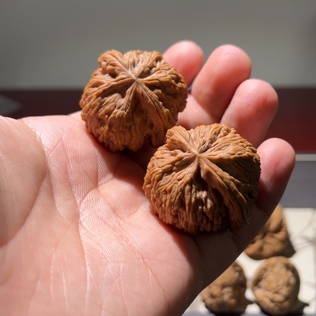 吊坠文玩核桃38蛟龙