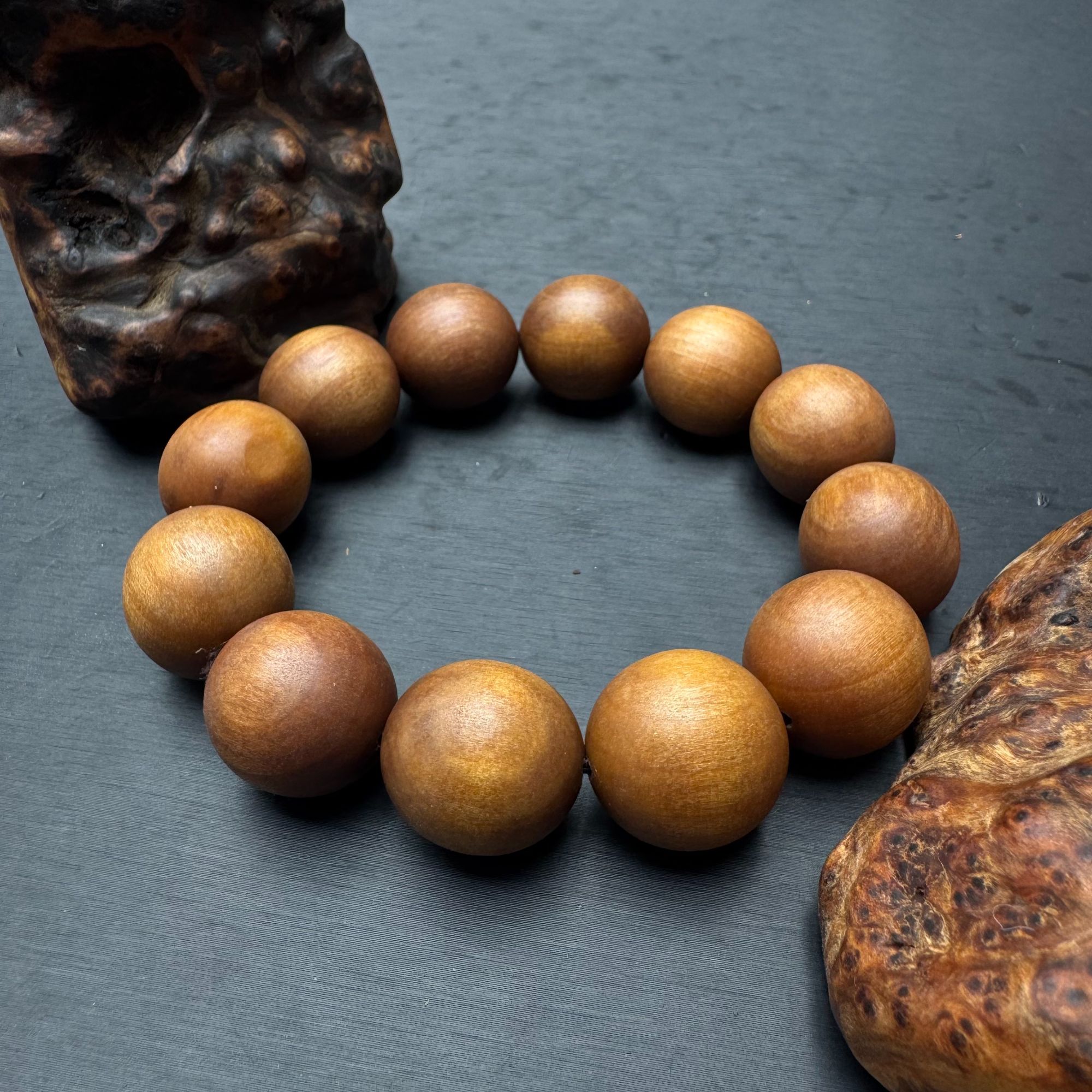 S56木作-多样性发其一《娇艺特》