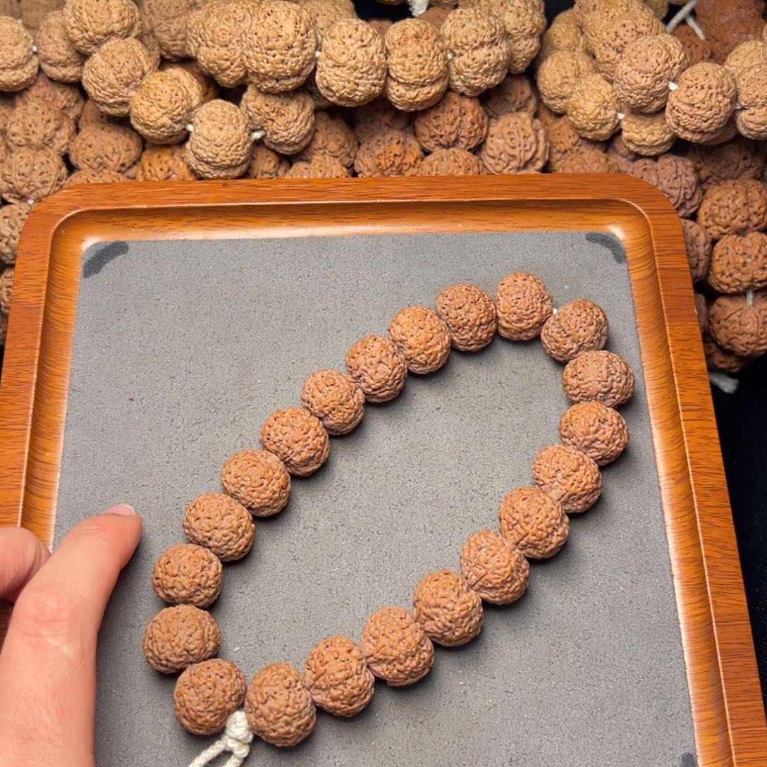 3号尼泊尔大金刚18五星蜂王菠萝蜜