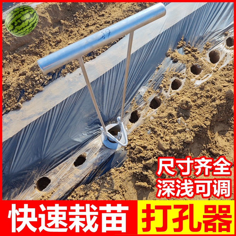 栽苗神器农用工具打坑蔬菜辣椒移栽机移苗打洞器栽苗器西瓜打孔器
