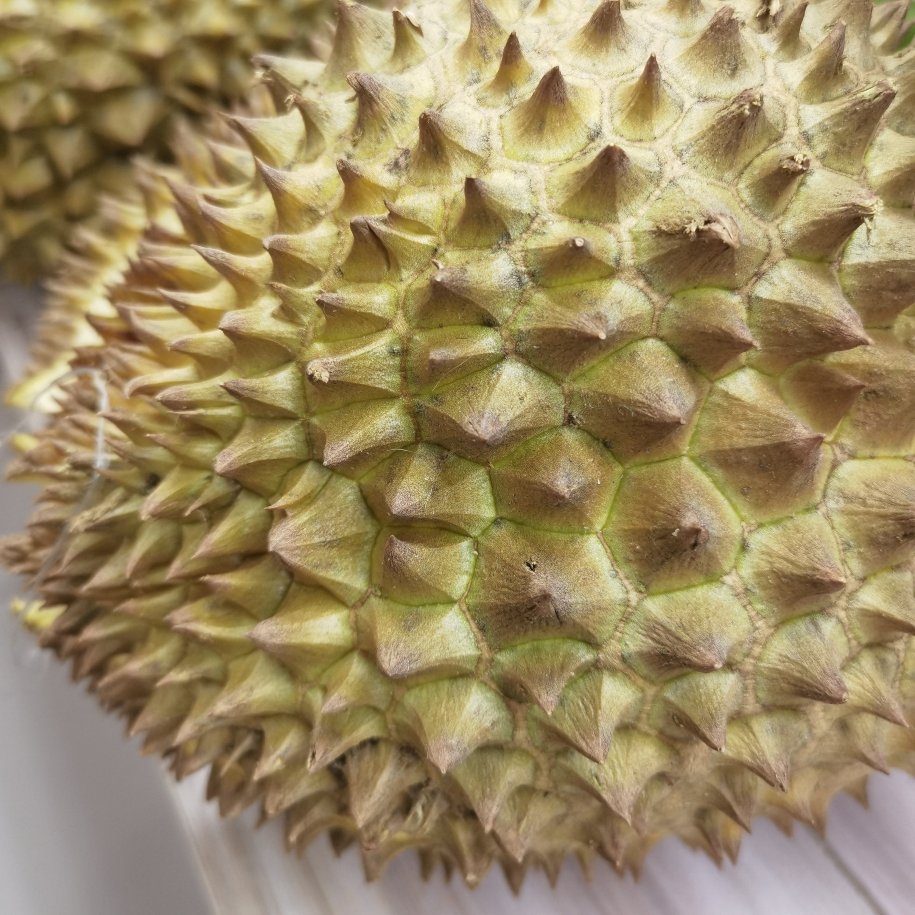 越南金枕鲜榴莲核小榴莲1g特价特价特价金枕