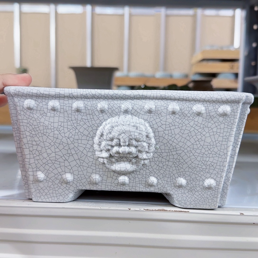 陶瓷花盆特价上新