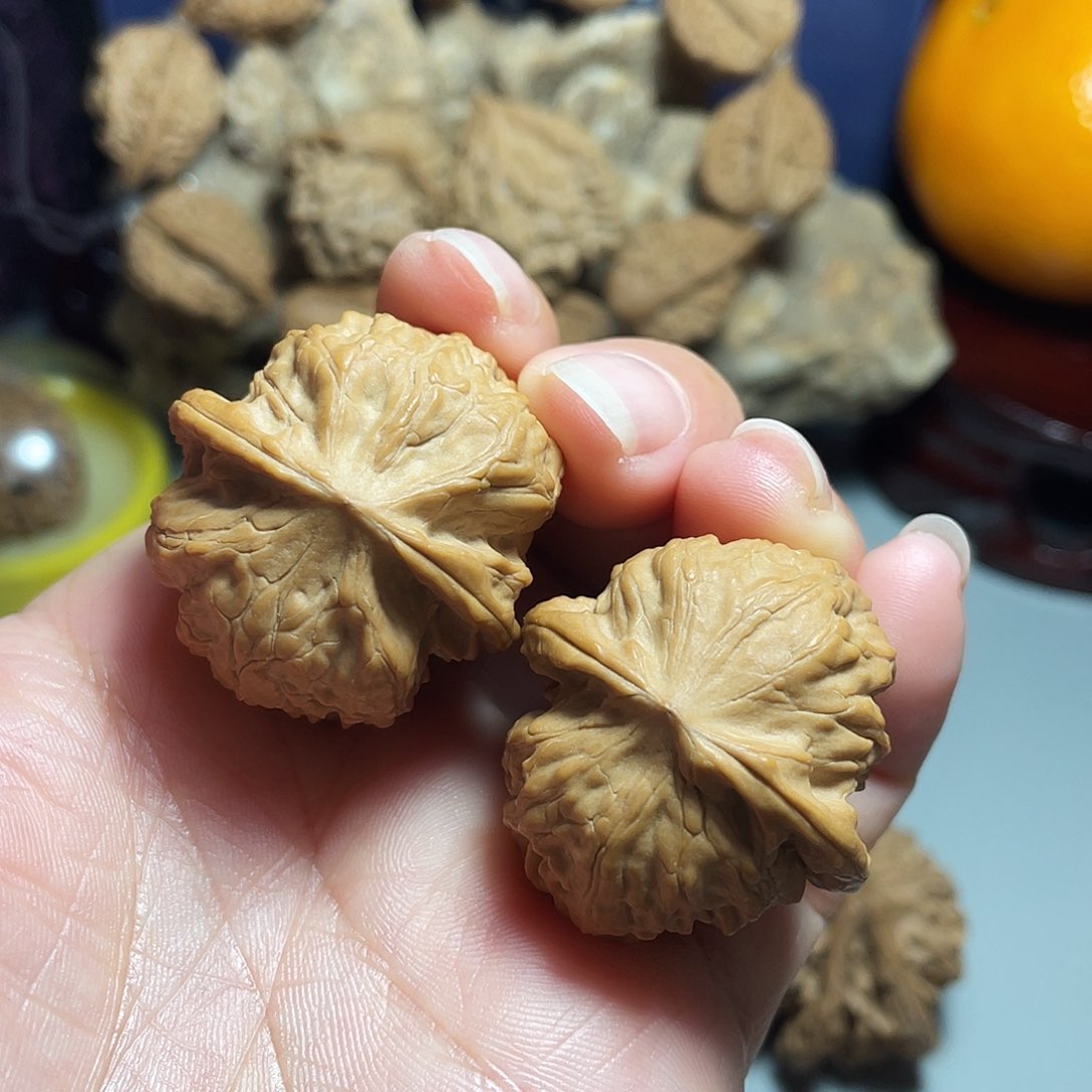 核桃手串/手链精品野狼33