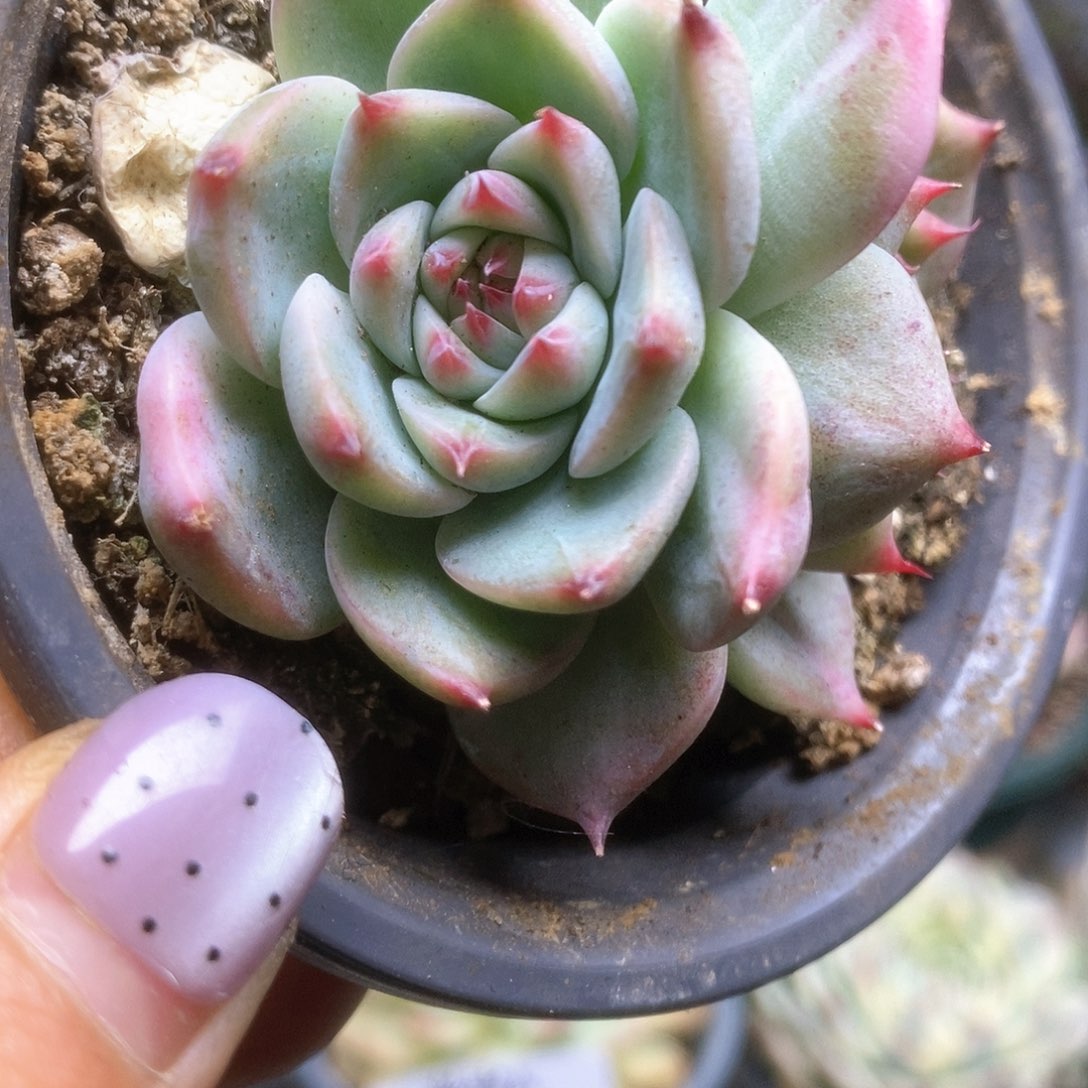 D028哈哈哈哈哈哈哈哈哈