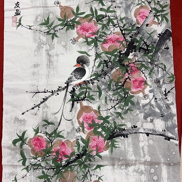 横款新号开播，欣赏一下……