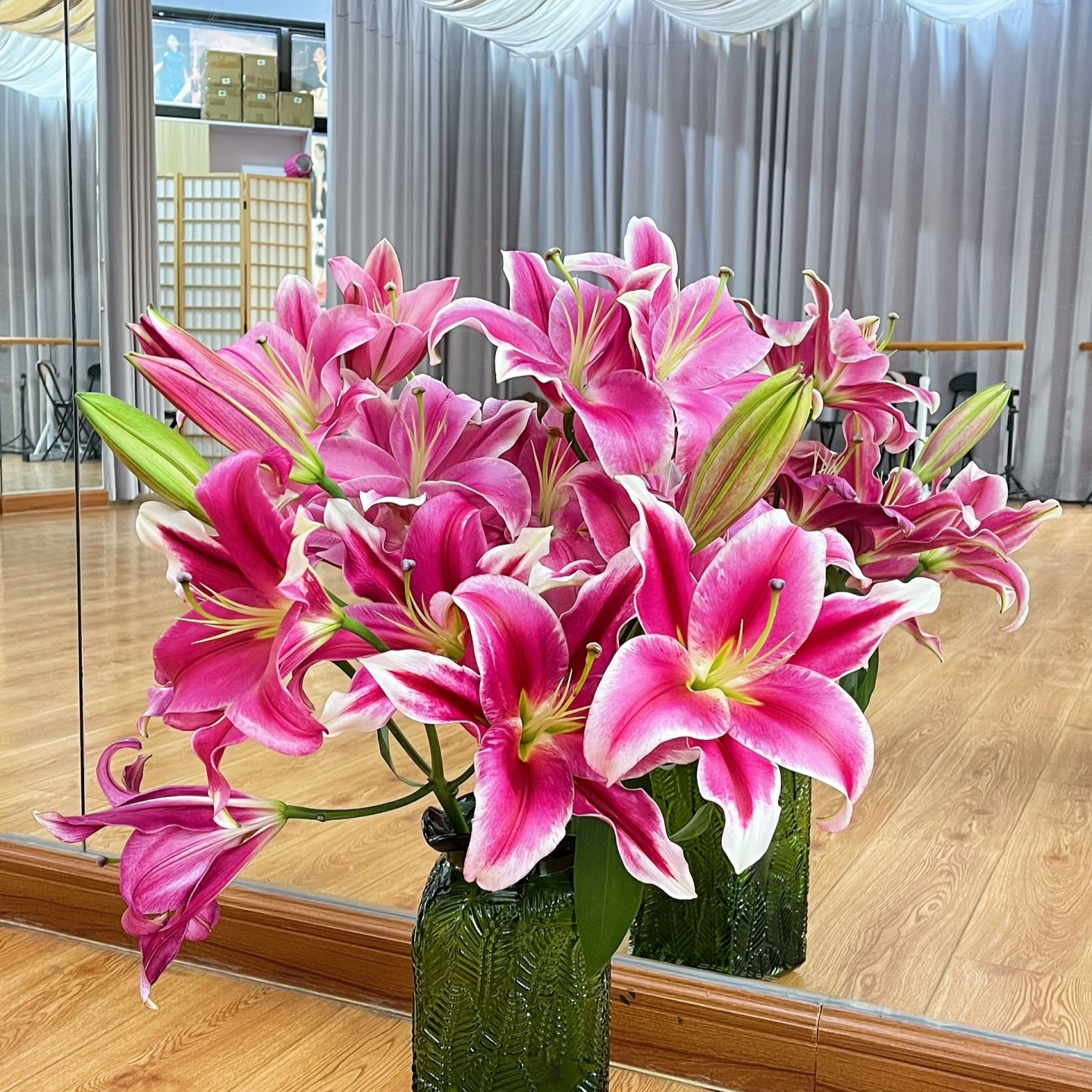 【红色宫殿】稀有单瓣红色系香水百合东北基地顺丰直发