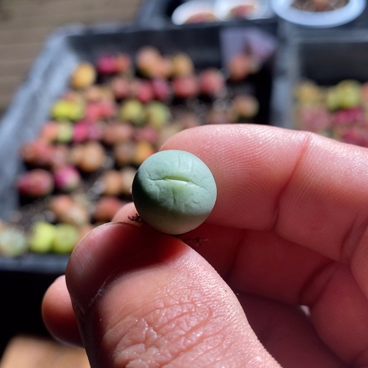 22204一个一个一个