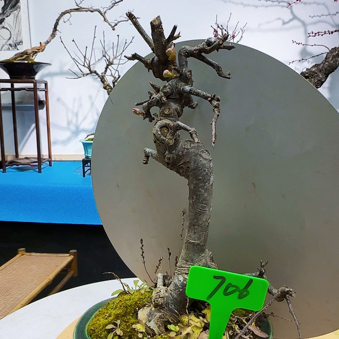 无铅玻璃静*d c v b n m