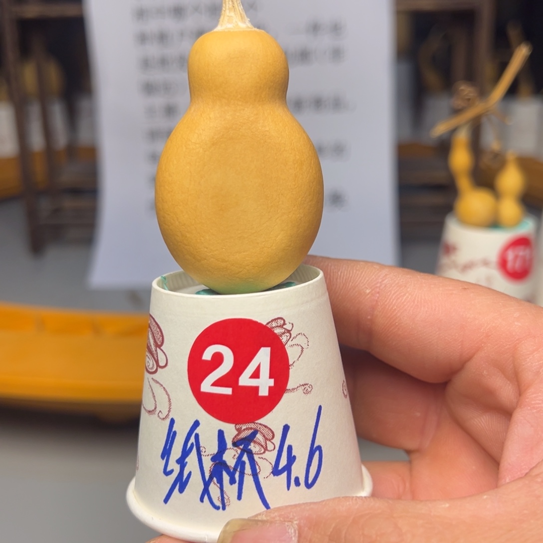 闪电购自助下单编号24