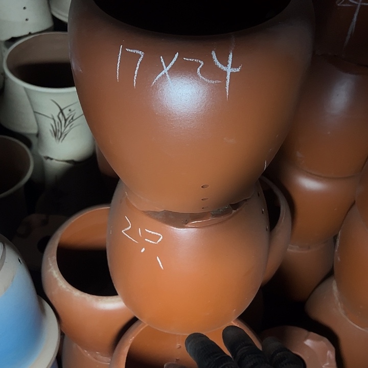 周深周深周深周深走  