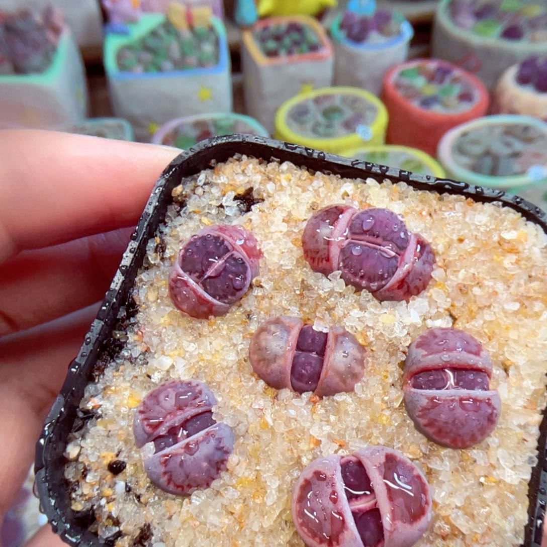 167。88888888888888