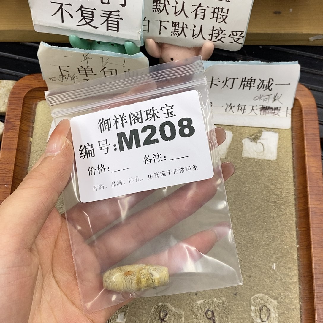 硅化珊瑚（珊瑚玉）未镶嵌颈饰良****Y