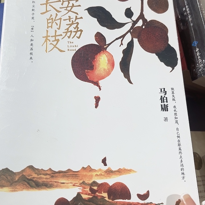 长安的荔枝全新推荐