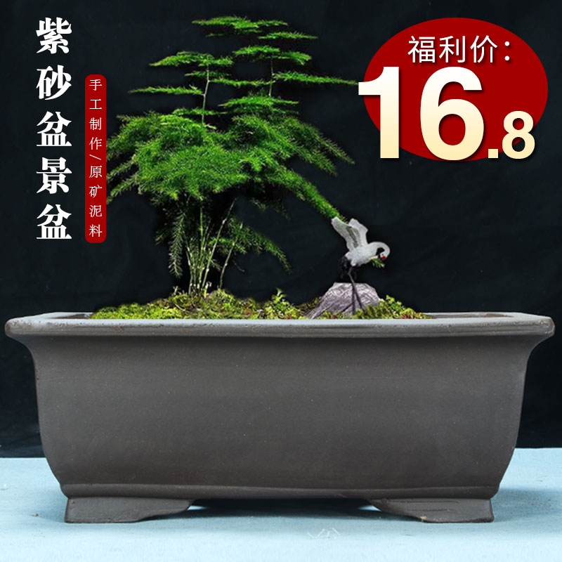紫砂花盆特大长方形盆景盆清仓室内花卉假山造景陶瓷盆栽花盆