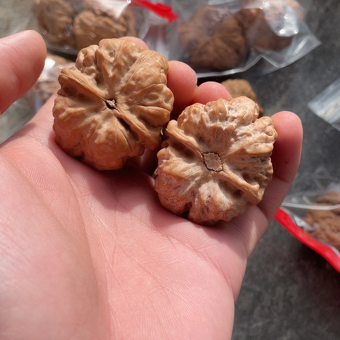 文玩核桃把件蛤蟆头