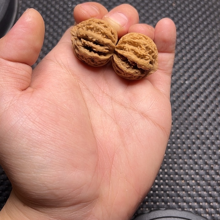 文玩核桃吊坠霸王龙