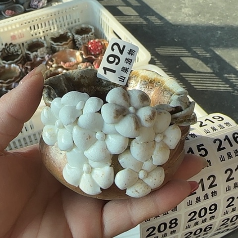 瓷片柴烧柴烧柴烧192