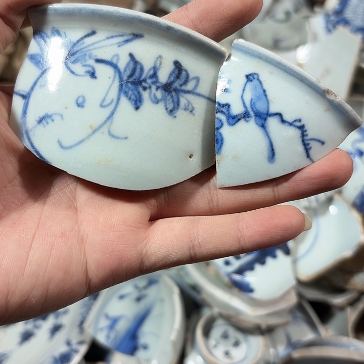 瓷片瓷片标本，顺丰包邮