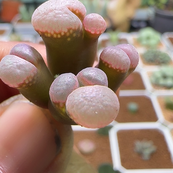 敏***兒哈哈哈哈哈哈哈哈405