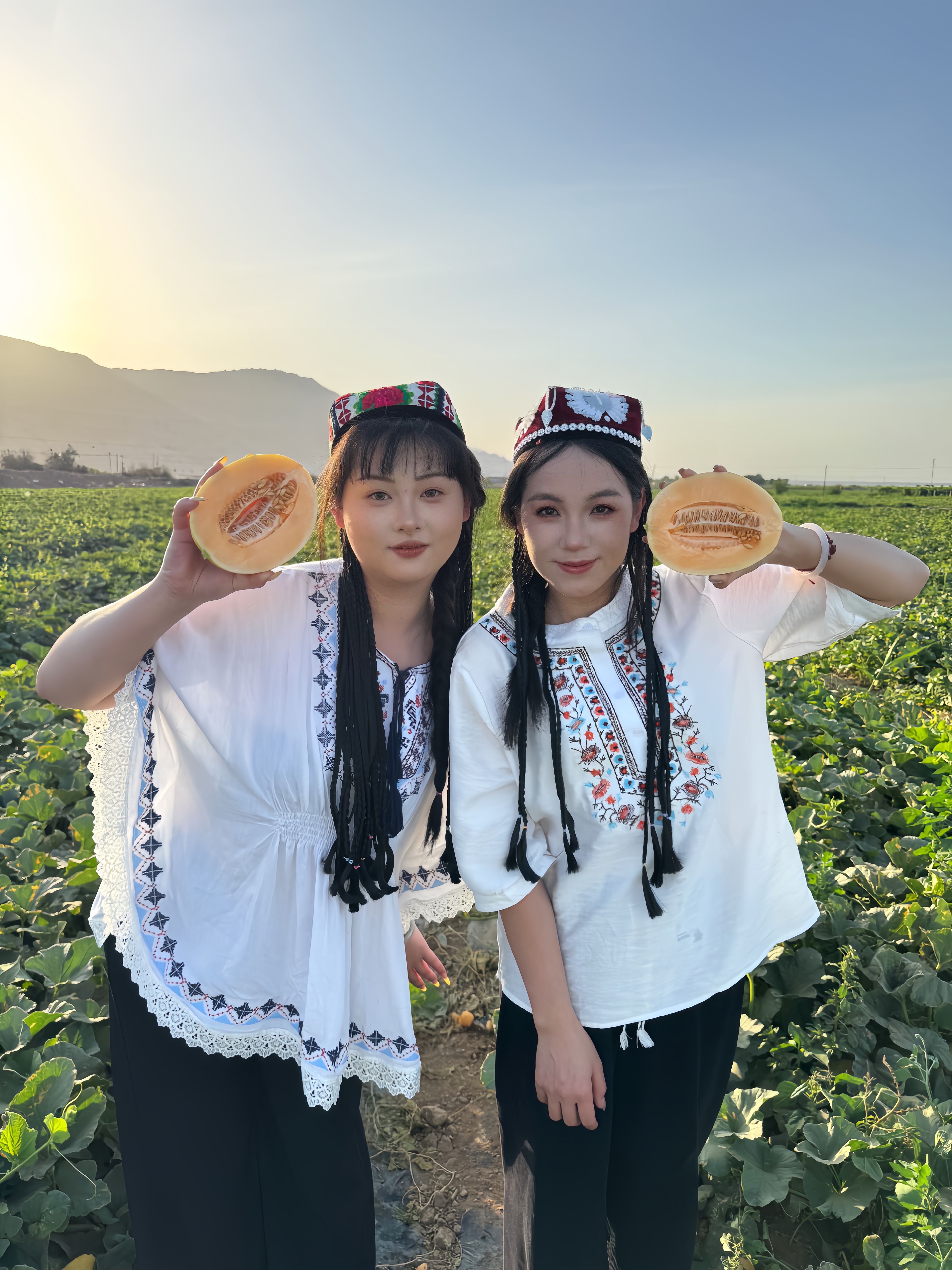 ZY【新疆直发】吐鲁番黄金哈蜜瓜金色年华新鲜水果