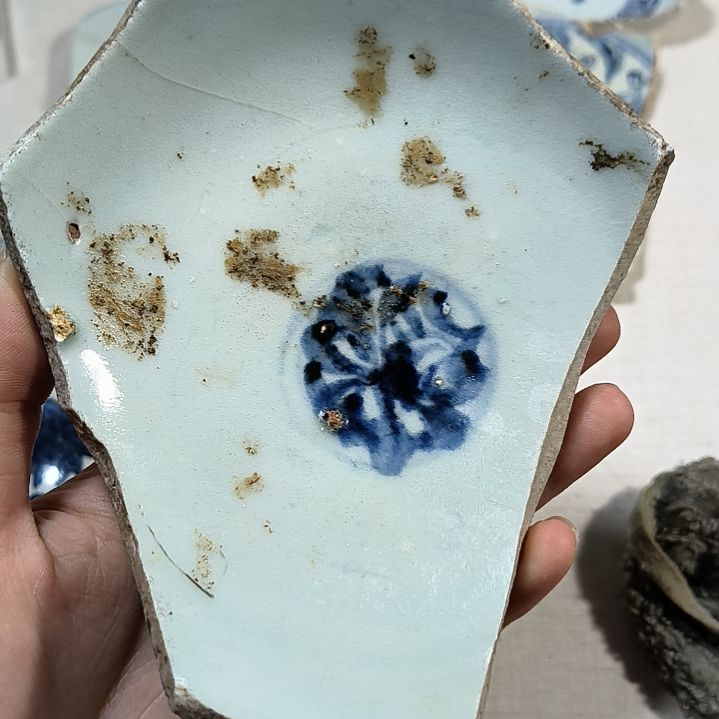 瓷片瓷片瓷片瓷片瓷片