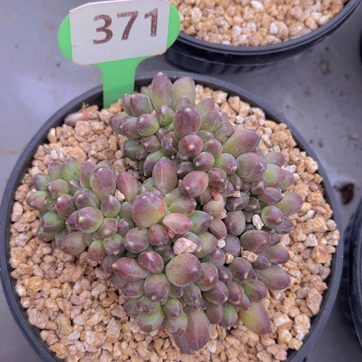 健健康康平平安安