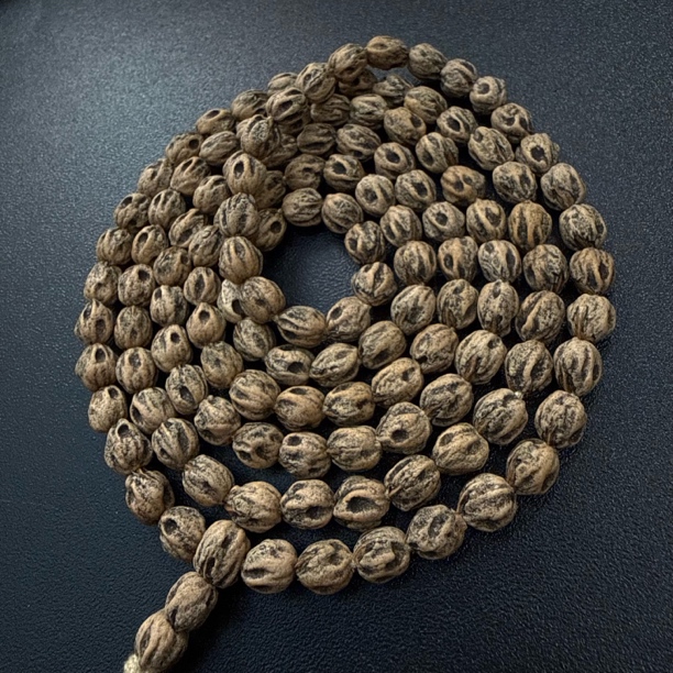 热振一家《尸坨林.万魔》定制级百香籽