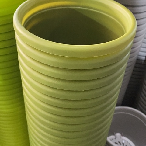 树脂四季2号果绿无托20个