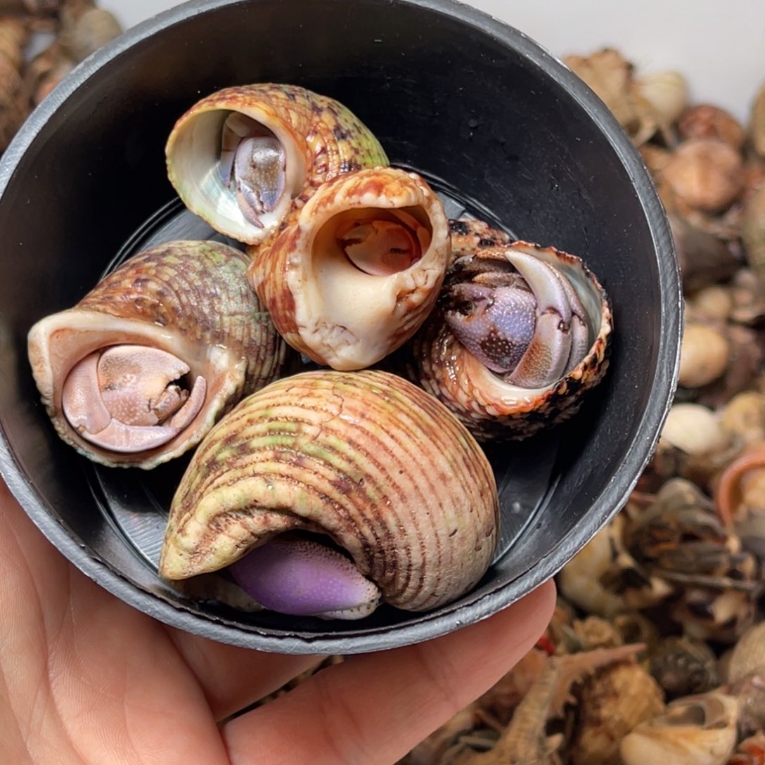 小***头那里不好玩呀亲爱了吧明天