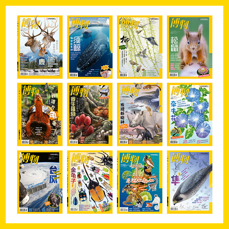 中国国家地理博物杂志25年单刊杂合集志社直营青少年科普正版期刊