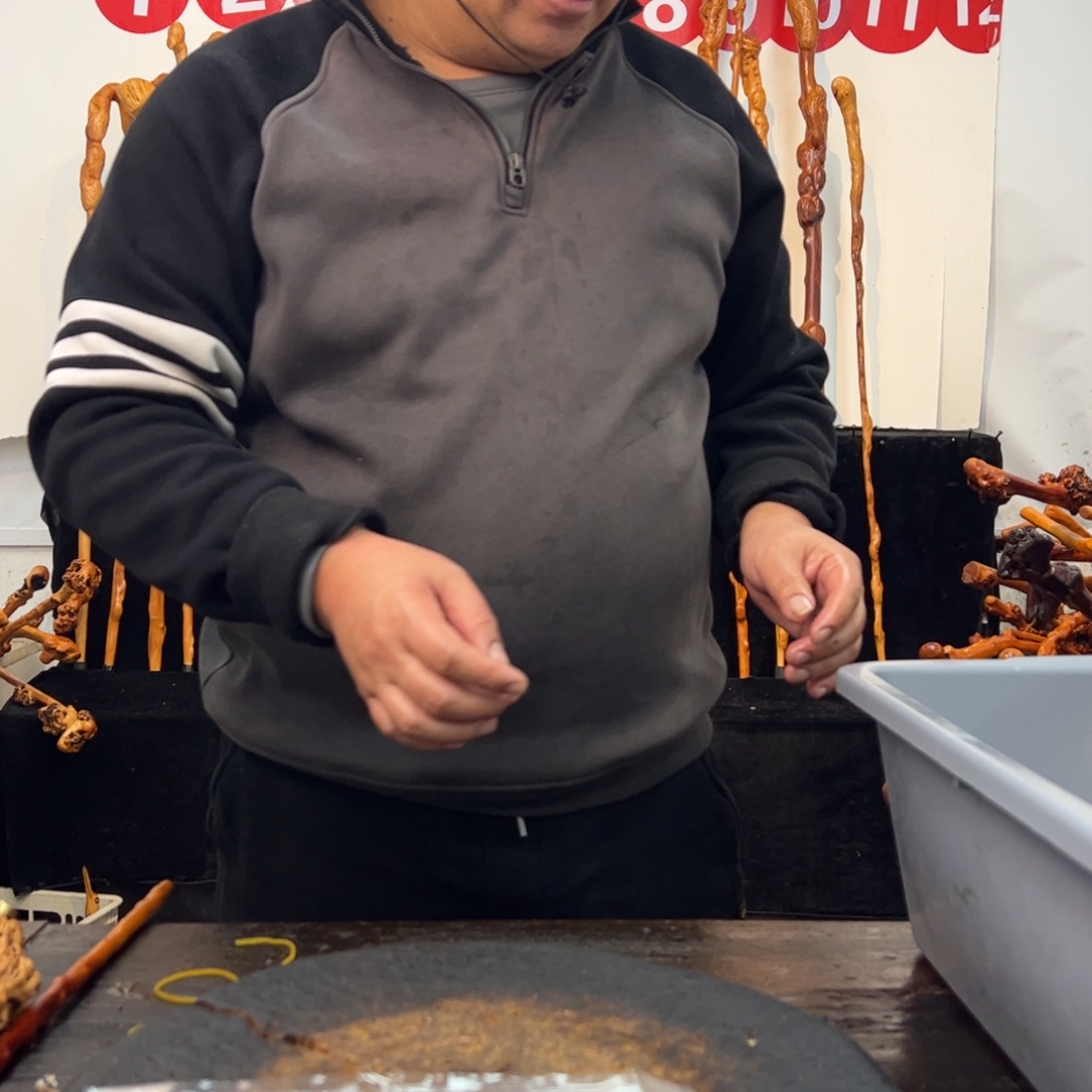 黑果木其他黑果木504