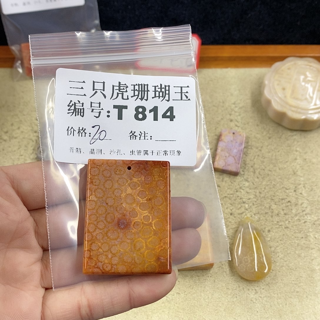 硅化珊瑚（珊瑚玉）1未镶嵌神**大