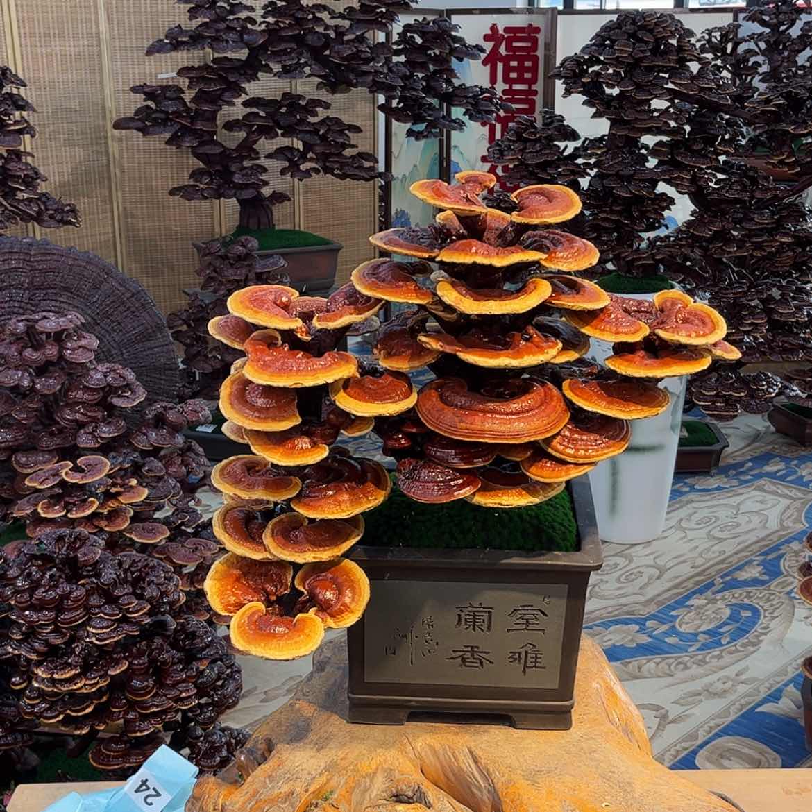 【闪购商品】8888888888