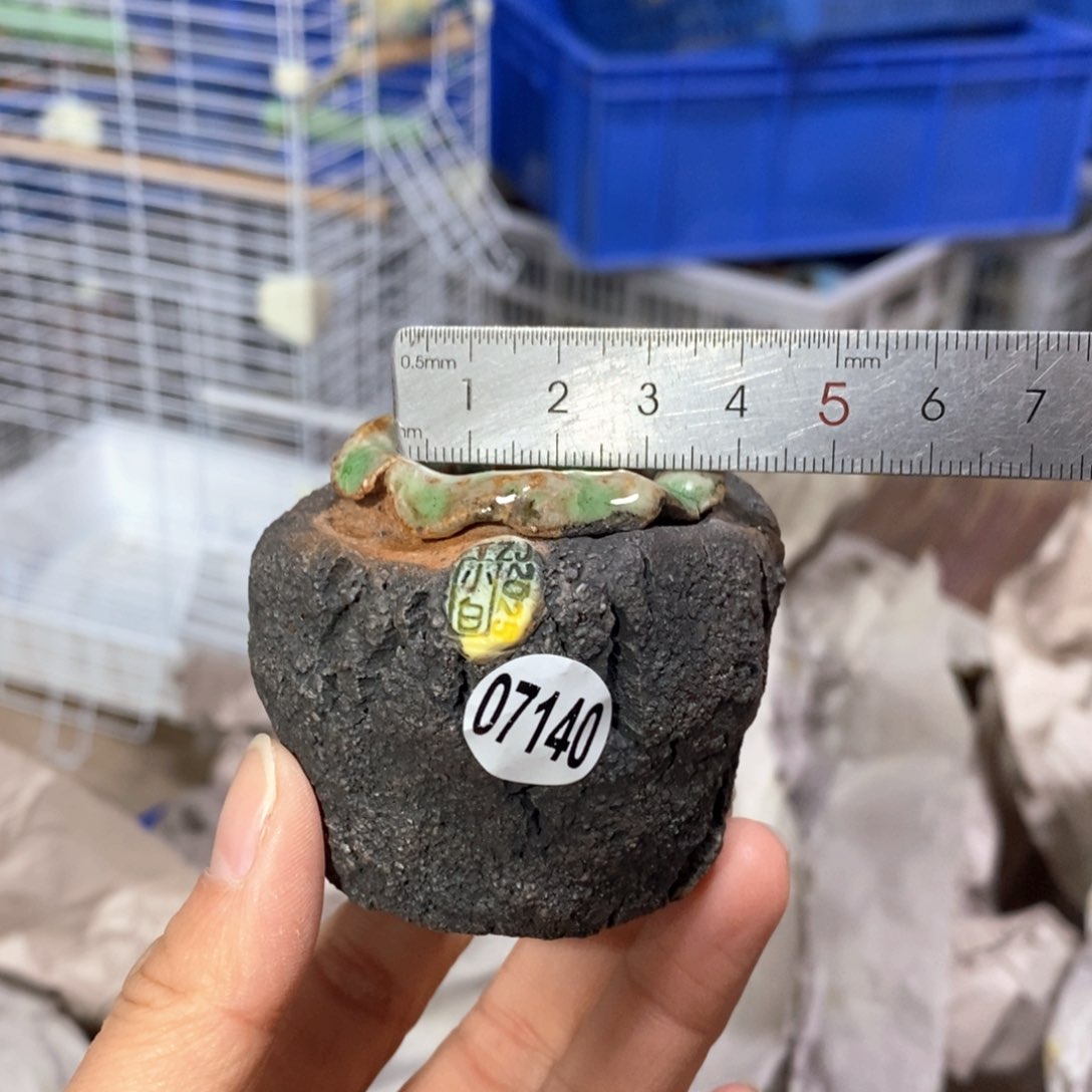 花盆拍3送一个小礼物