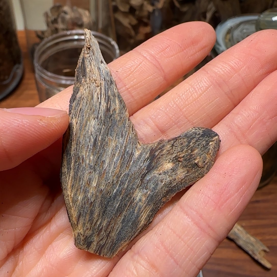 沉香沉香碎屑醇化五年皮油树丁1.3克