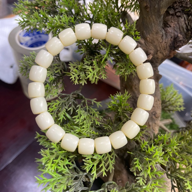 112骆驼牙手串大直切（根）