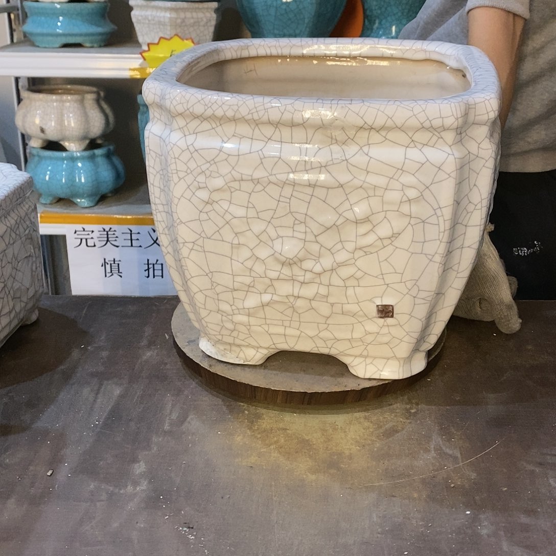 豆*瑕疵花盆花盆里的花