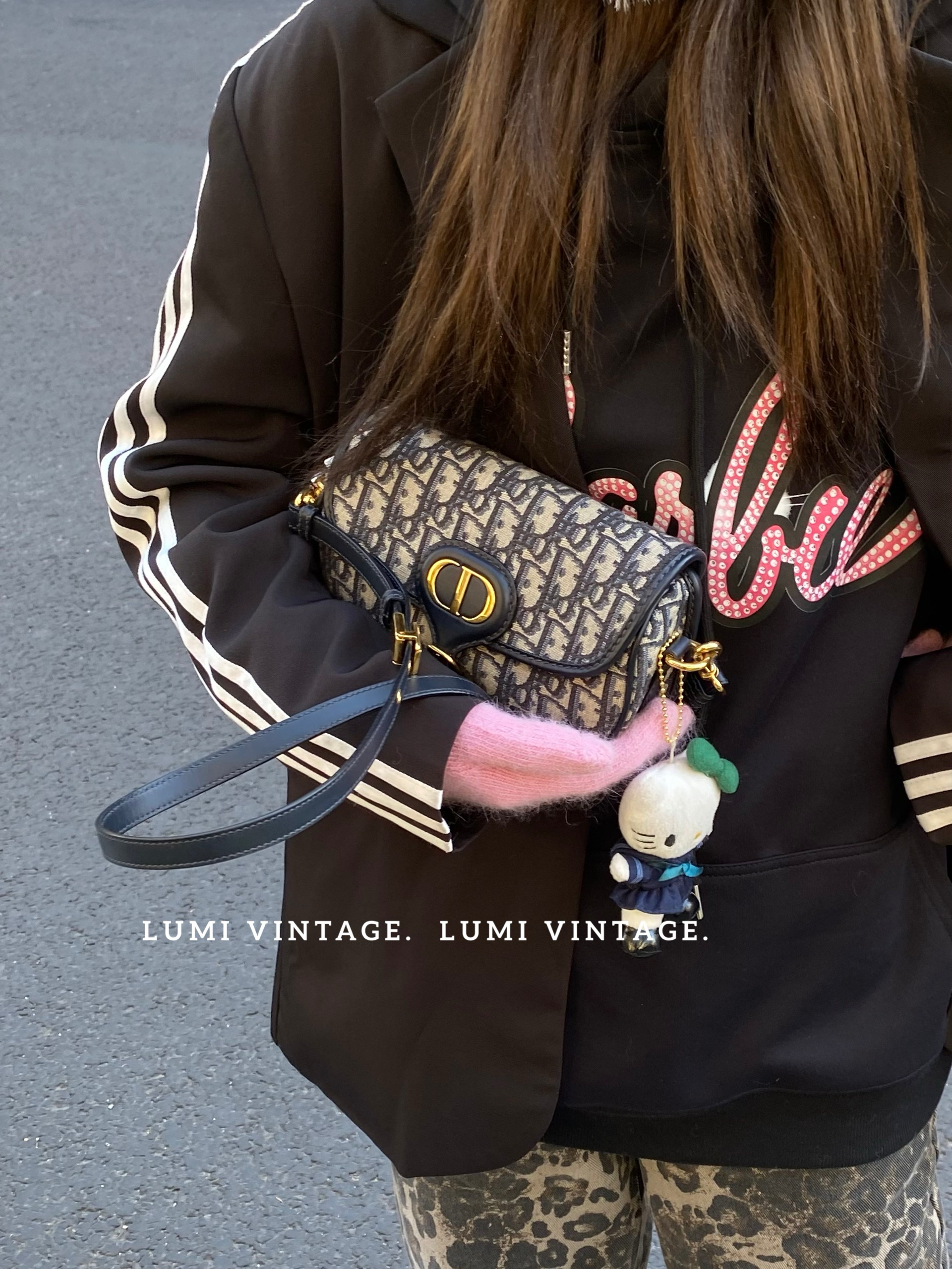 99新 DIOR/迪奥 老花bobby小号单肩包24685839