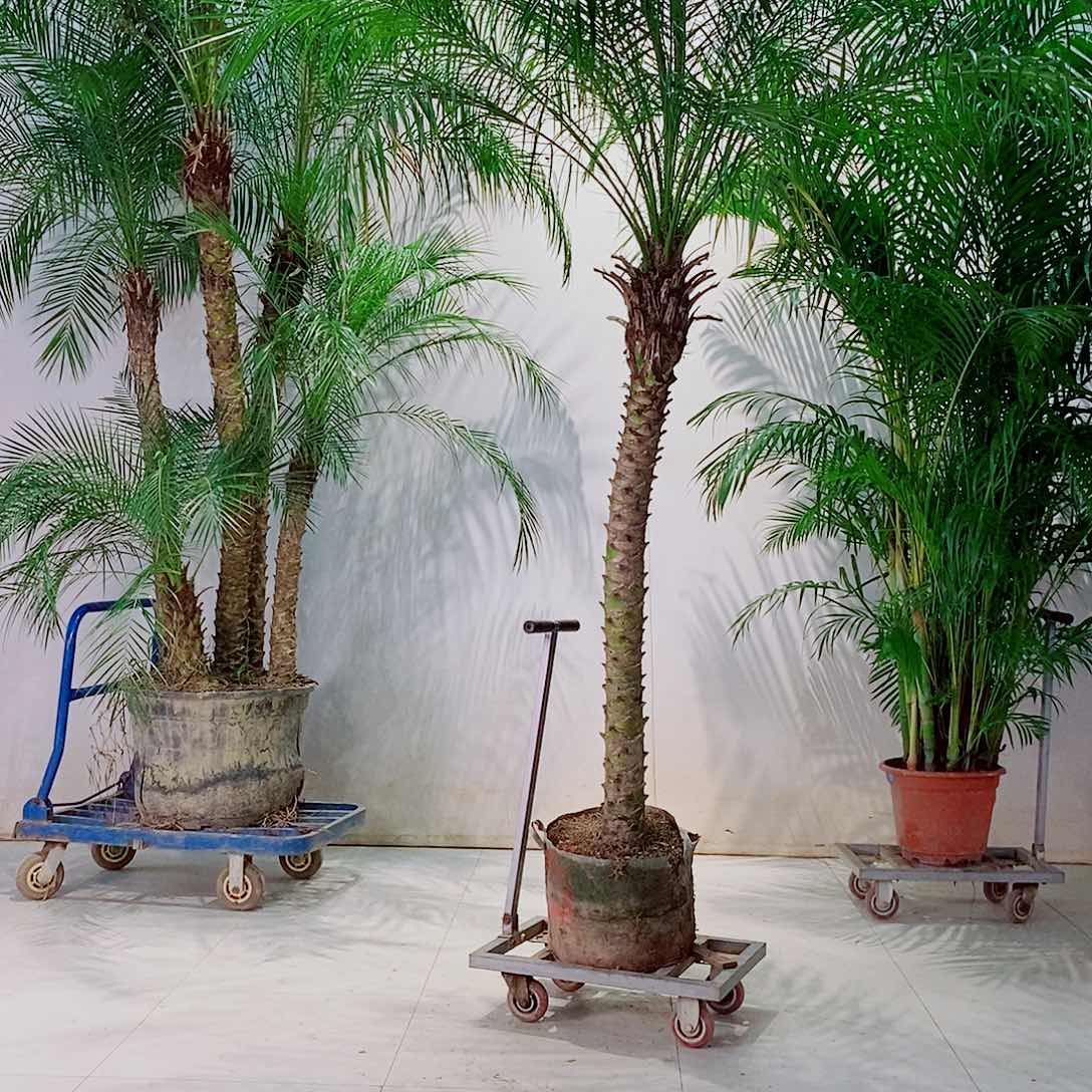 完全开放济****装77887877888