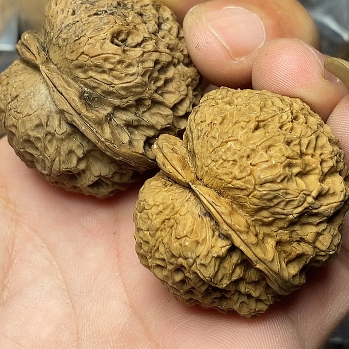 把件文玩核桃云南铁核桃17