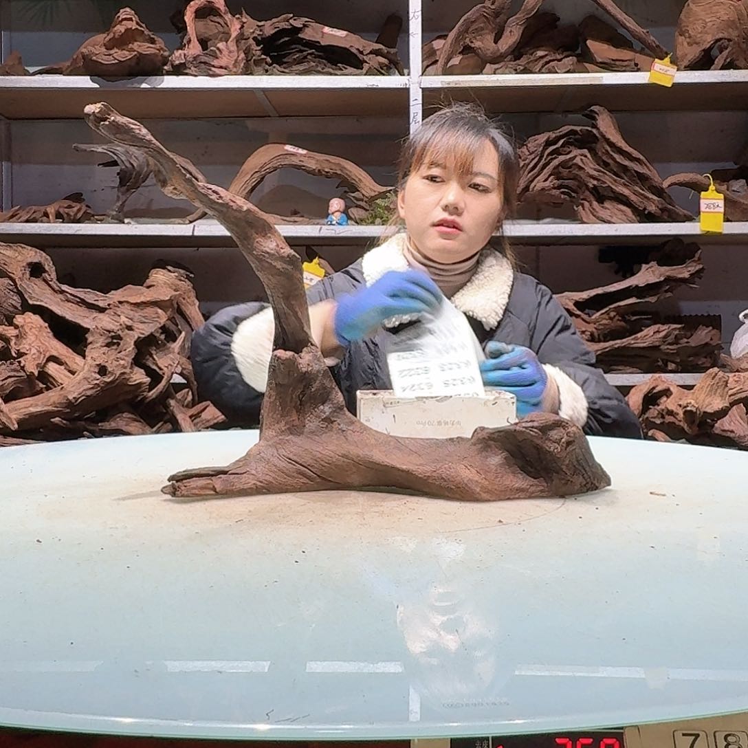 倍褚沉木不包损必褪色一*堂6317