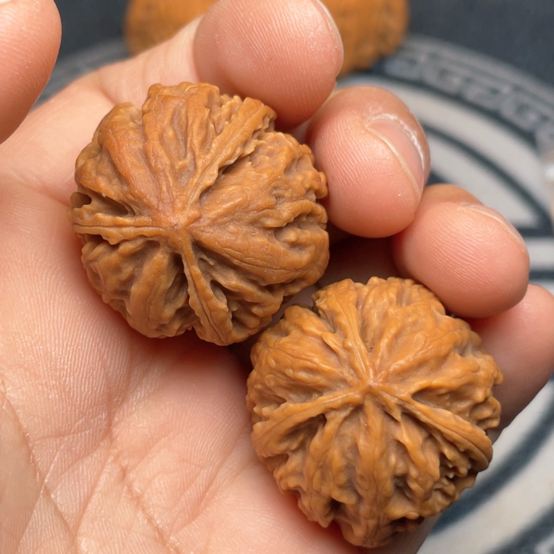 文玩核桃把件21号链接