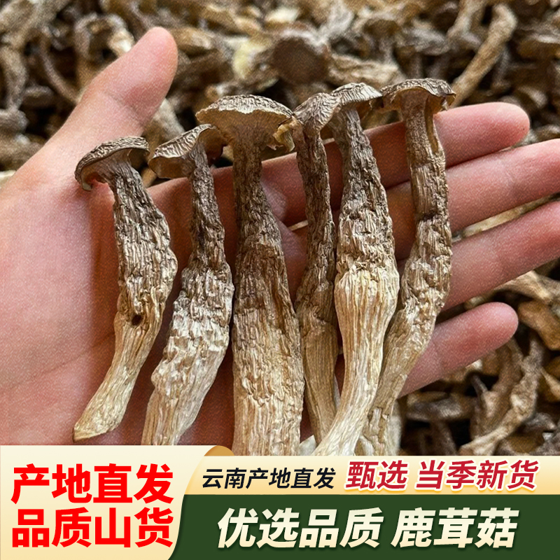 云南山货鹿茸菇菌包