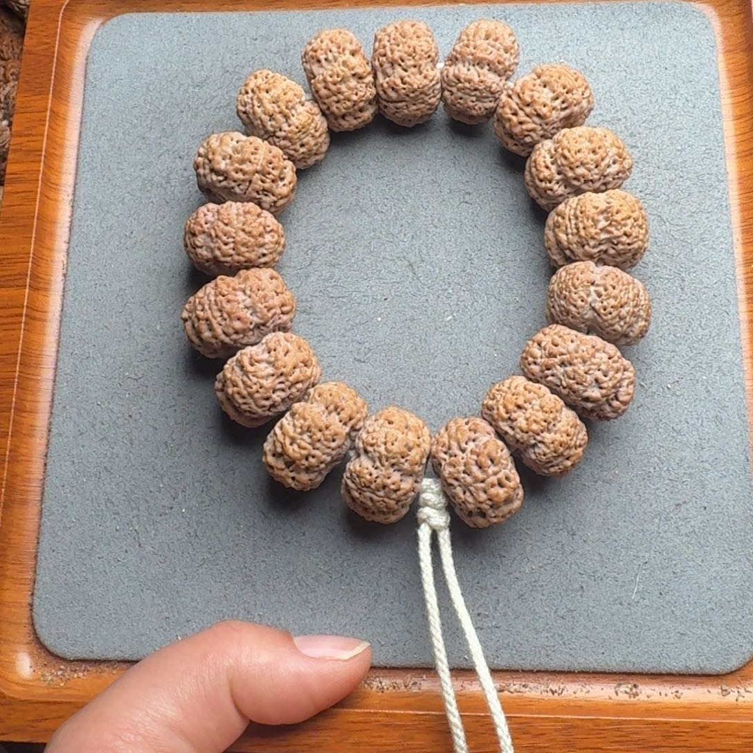 菩提菩提7号尼泊尔大金刚24夹板梅花