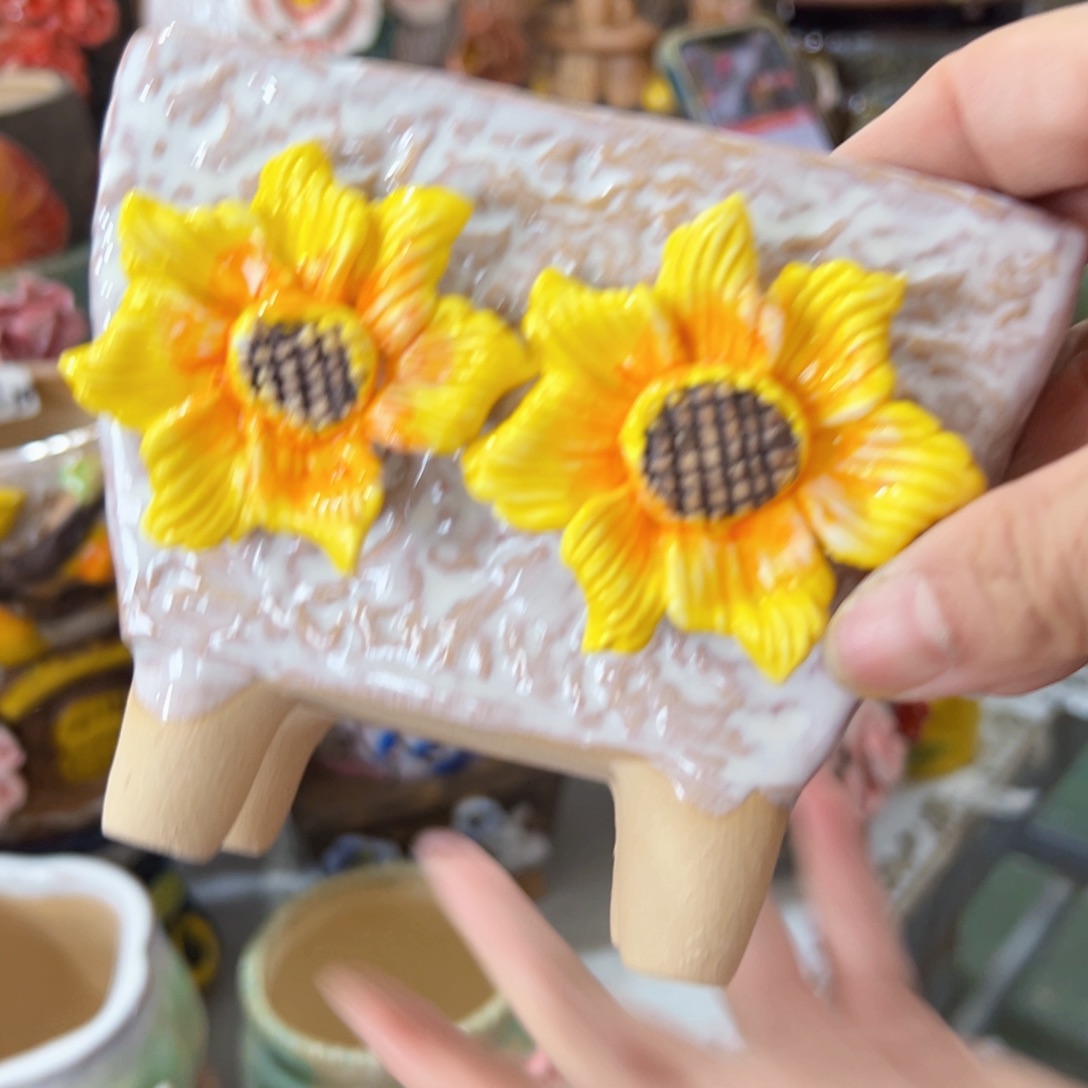 本场满100送一个花盆