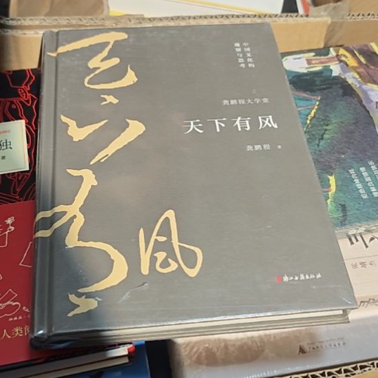 天下有风精装塑封库存书全新